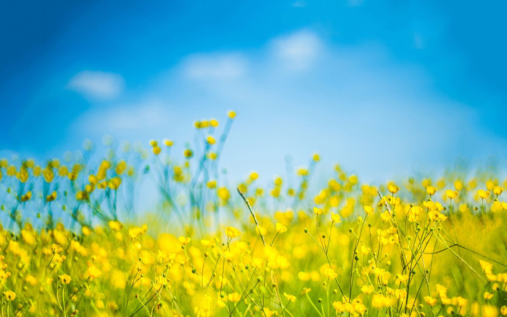 2021年河南自考学习方法(二)