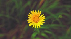 【河南自考】考生可以报哪个学历层次？