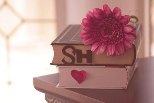 2021年河南自考复习攻略，助力成功过关！