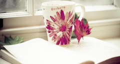 2021年河南自考英语词汇学有什么学习方法？