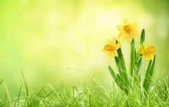 2021年河南自考考生如何打印座号通知单？