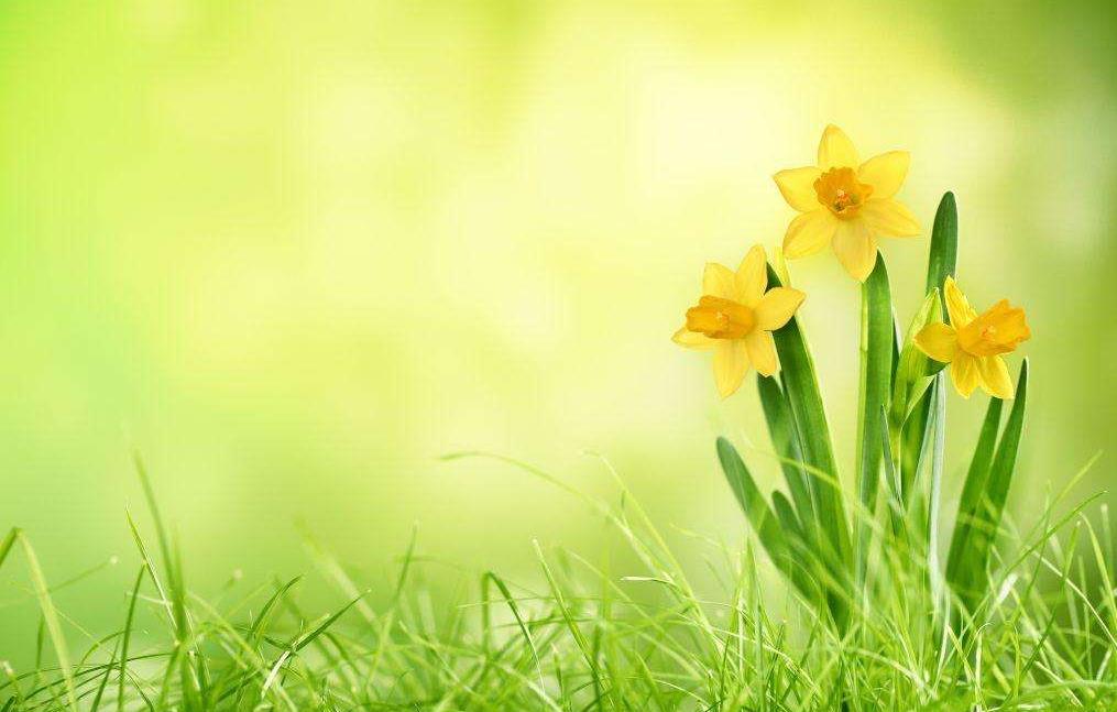 2021年河南自考考生如何打印座号通知单？