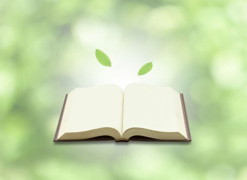 河南自考本科和独立本科有什么区别？