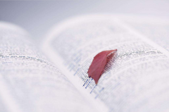 河南成人自考学历为什么不承认的四个原因