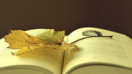 【河南自考网】加考和选考怎么理解？