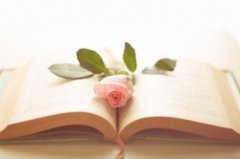 2021年河南自学考试网上报名照片有什么要求吗？