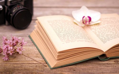 河南科技大学自考大专院校有哪些吗？