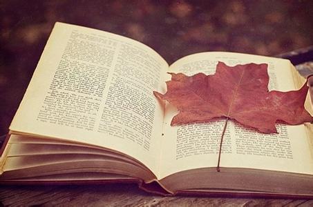 河南周口大专学历自考报名条件!