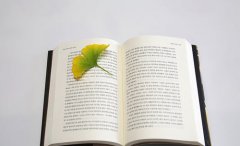 什么情况下自考需要学历认证？