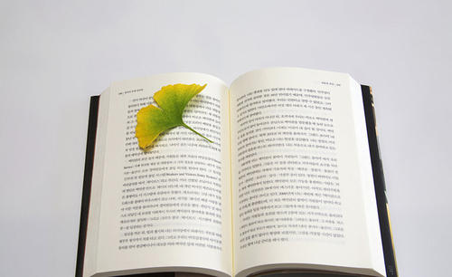 什么情况下自考需要学历认证？