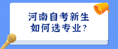 河南自考新生如何选专业？