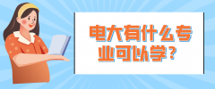 电大有什么专业可以选择？