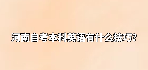 河南自考本科英语有什么技巧？