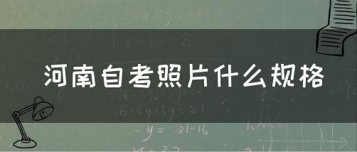 河南自考照片什么规格